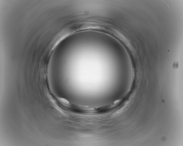 X0000092091377200709121504