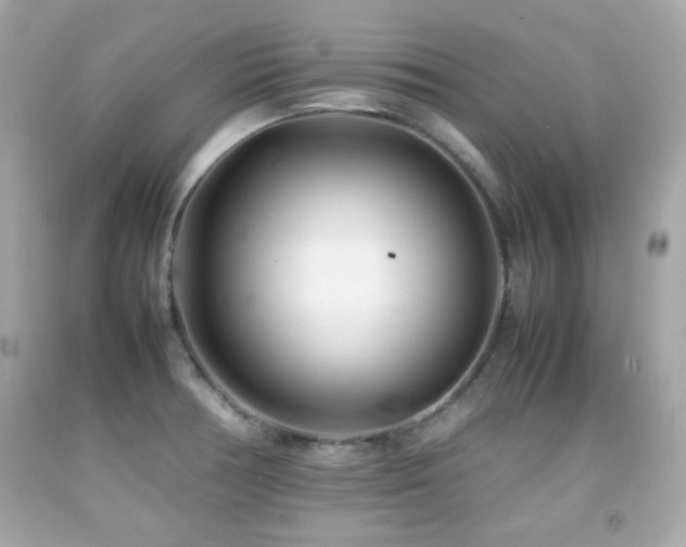 X0000092091378200709121504