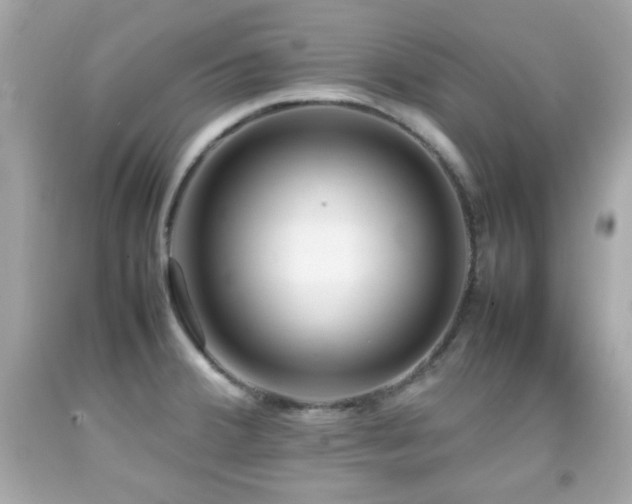 X0000092091380200709121504