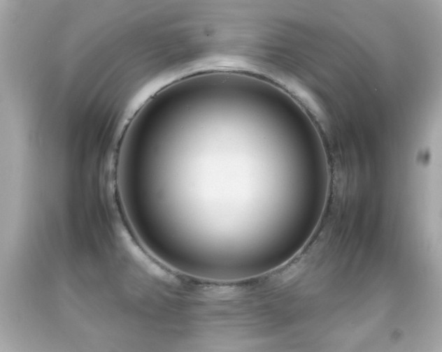 X0000092091382200709121504