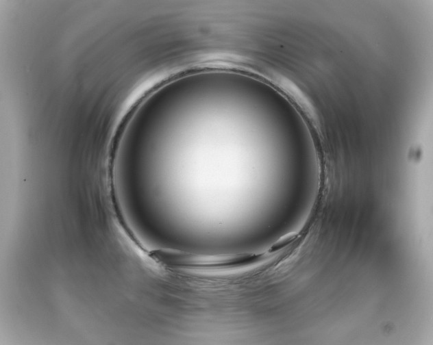 X0000092091384200709121504