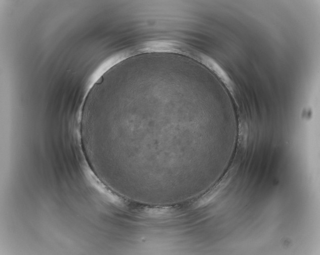 X0000092091386200709121504