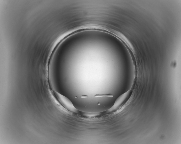 X0000092091388200709121503