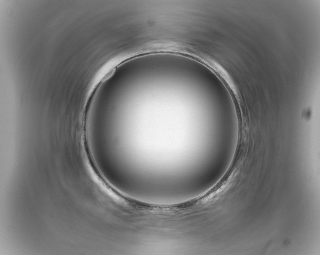X0000092091389200709121503