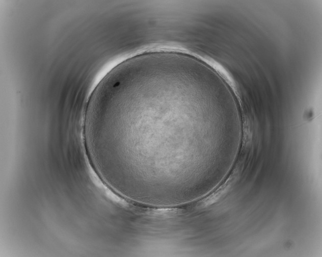 X0000092091390200709121503
