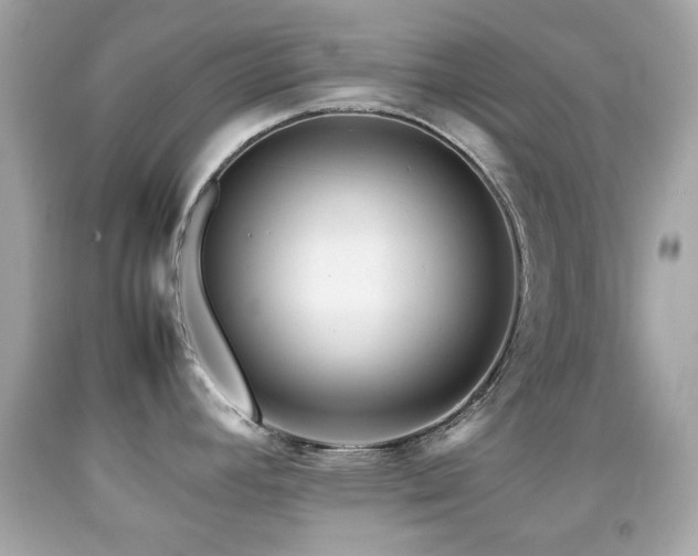 X0000092091392200709121503