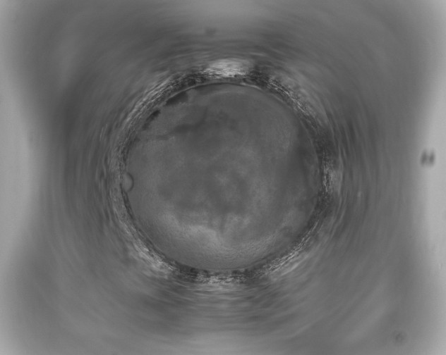 X0000092091393200709121503