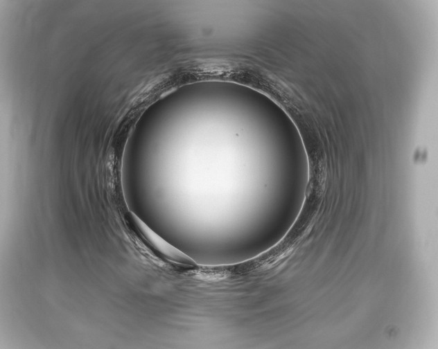 X0000092091394200709121503