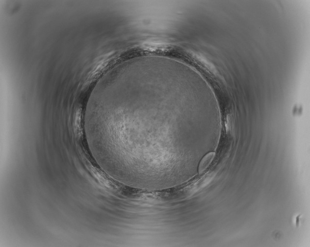 X0000092091396200709121503