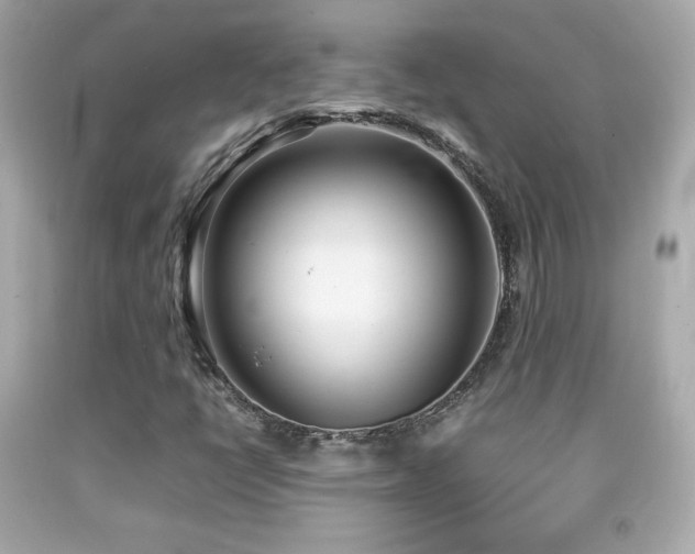 X0000092091398200709121503