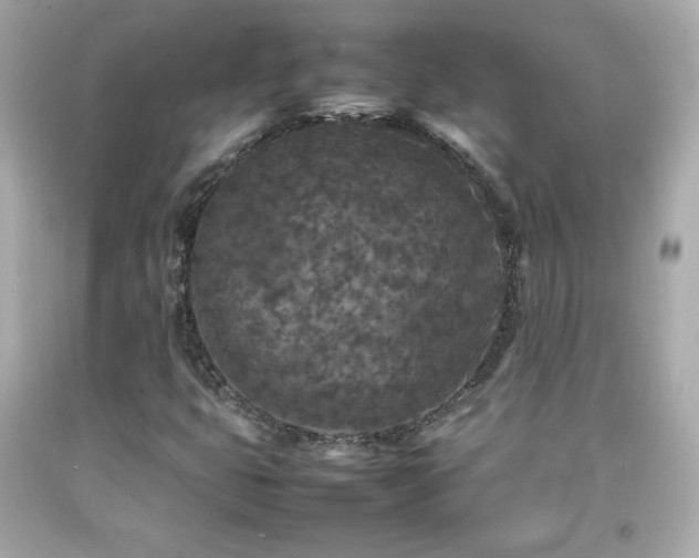 X0000092091399200709121503