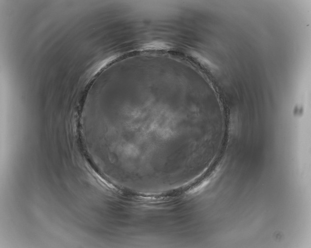 X0000092091401200709121503