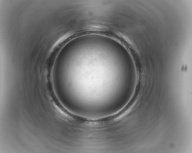 X0000092091402200709121503
