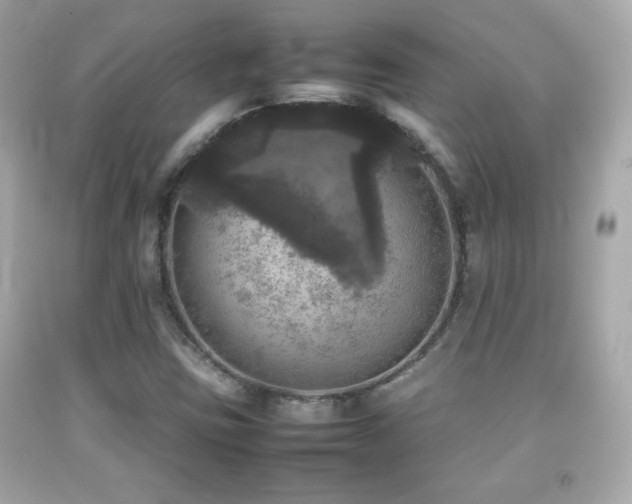 X0000092091403200709121503