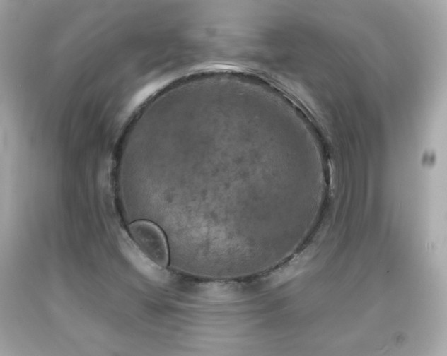 X0000092091404200709121503