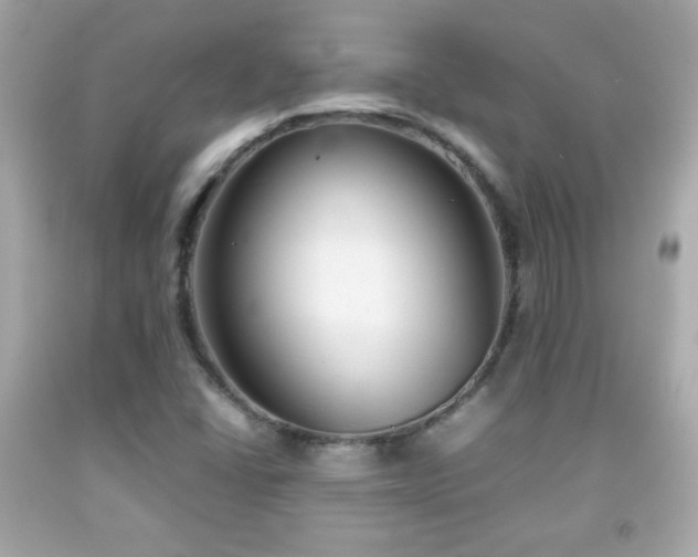 X0000092091406200709121503