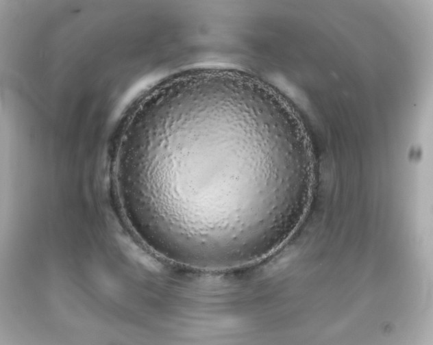 X0000092091408200709121503