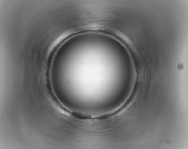 X0000092091410200709121503