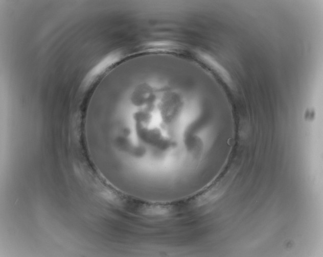 X0000092091411200709121503