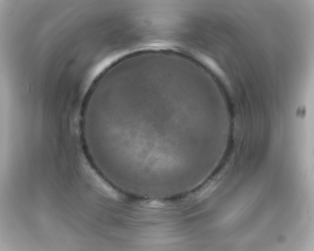 X0000092091412200709121503