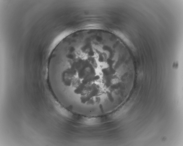 X0000092091413200709121503