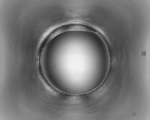 X0000092091414200709121503