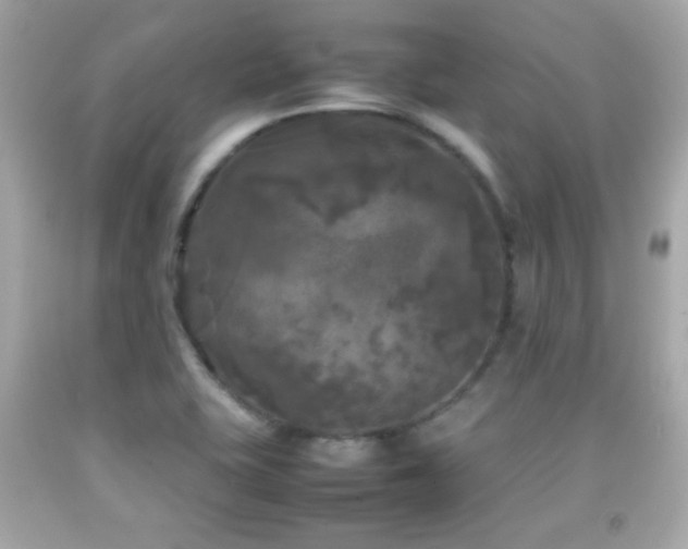 X0000092091415200709121503