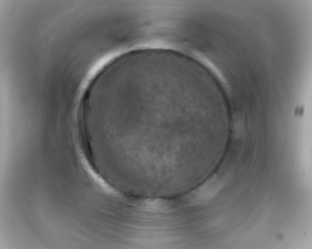 X0000092091416200709121503