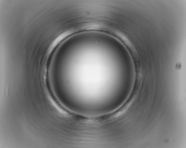 X0000092091418200709121503