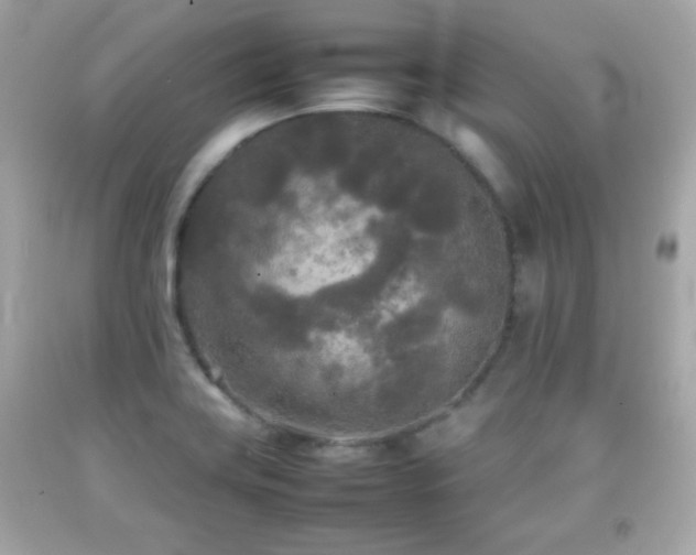X0000092091419200709121503