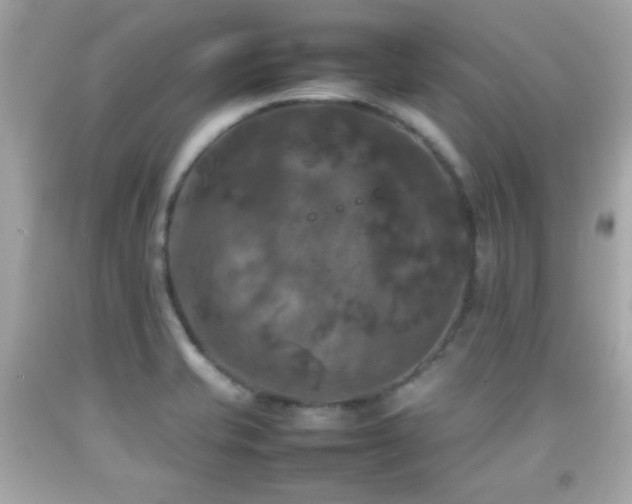 X0000092091421200709121503