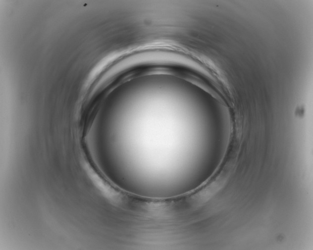 X0000092091422200709121503