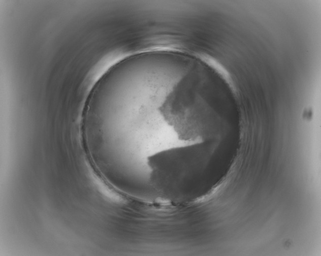 X0000092091423200709121503