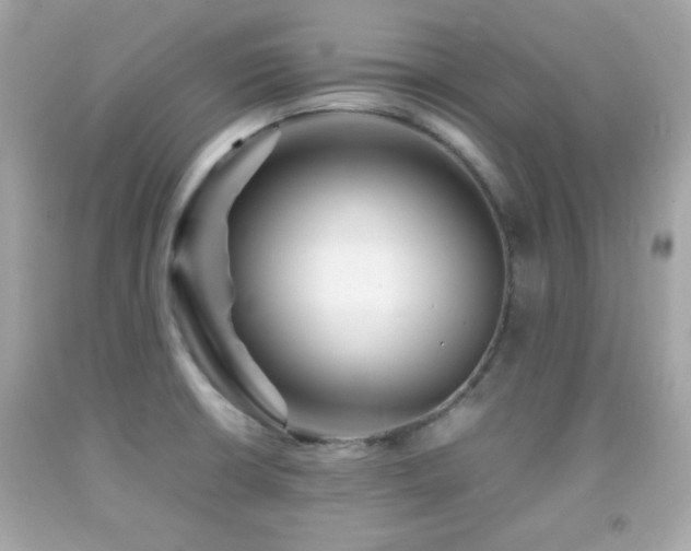 X0000092091426200709121503