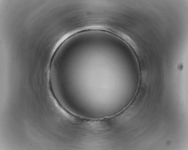 X0000092091428200709121503