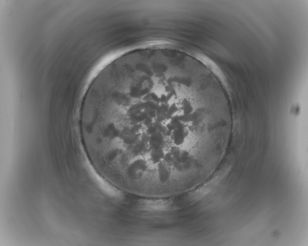 X0000092091429200709121503