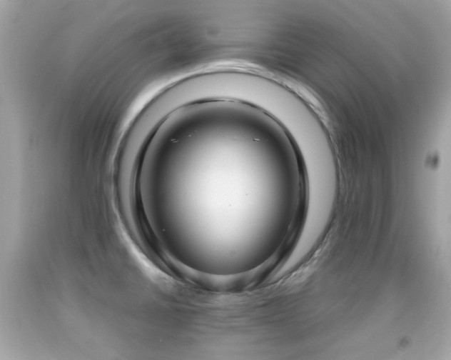 X0000092091430200709121503