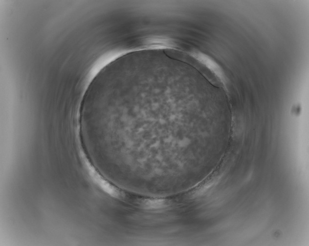 X0000092091431200709121503