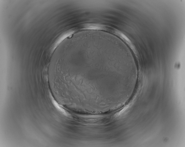 X0000092091433200709121503