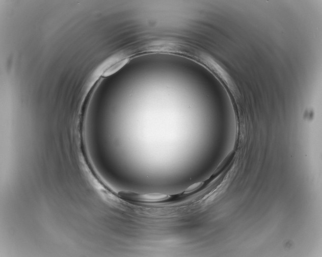X0000092091434200709121503