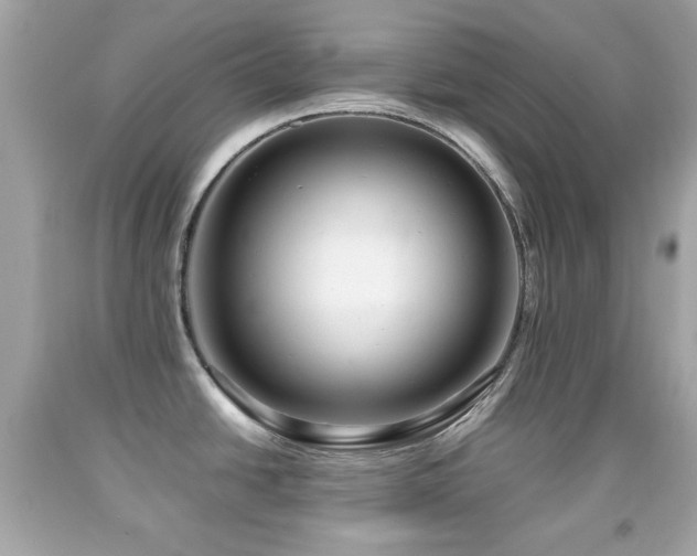 X0000092091438200709121503