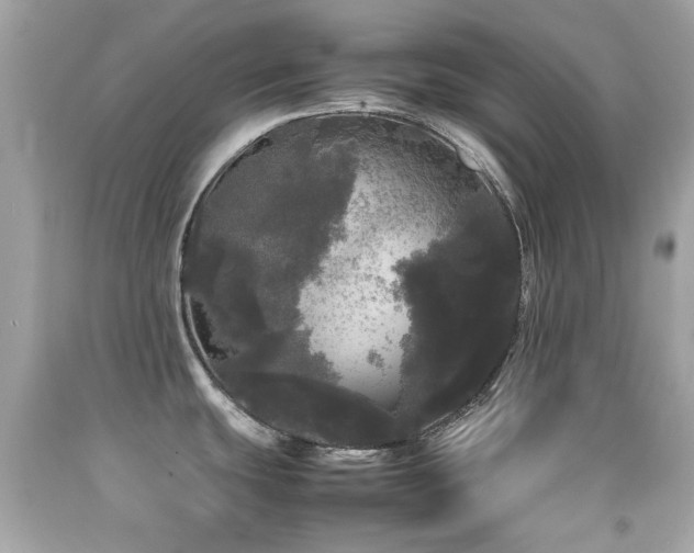 X0000092091439200709121503