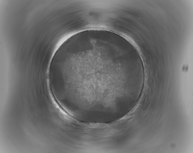 X0000092091440200709121503