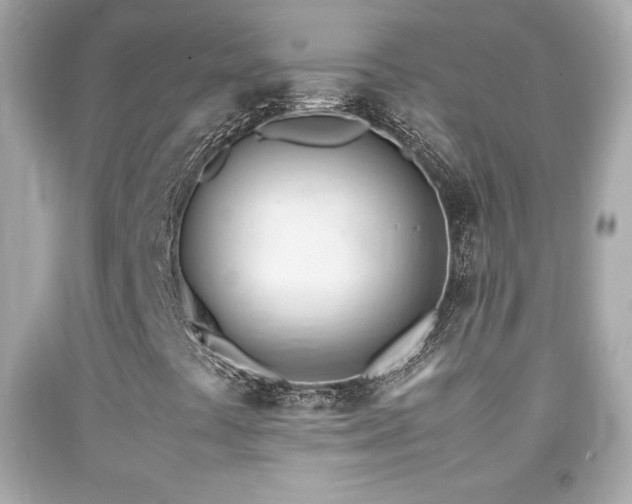 X0000092091441200709121503