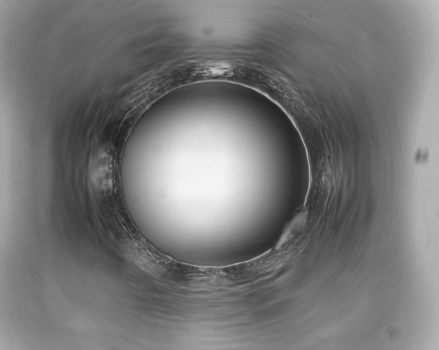 X0000092091442200709121503