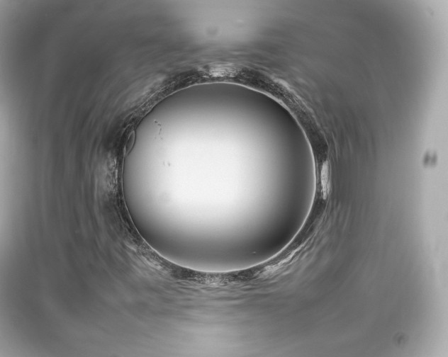 X0000092091443200709121503