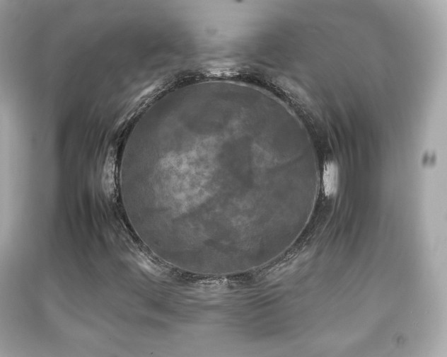 X0000092091444200709121503