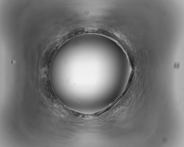 X0000092091445200709121503