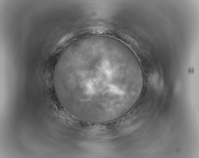 X0000092091446200709121503