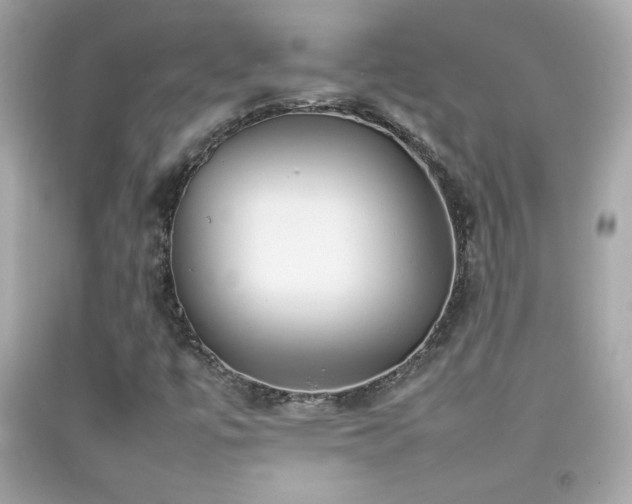 X0000092091447200709121503
